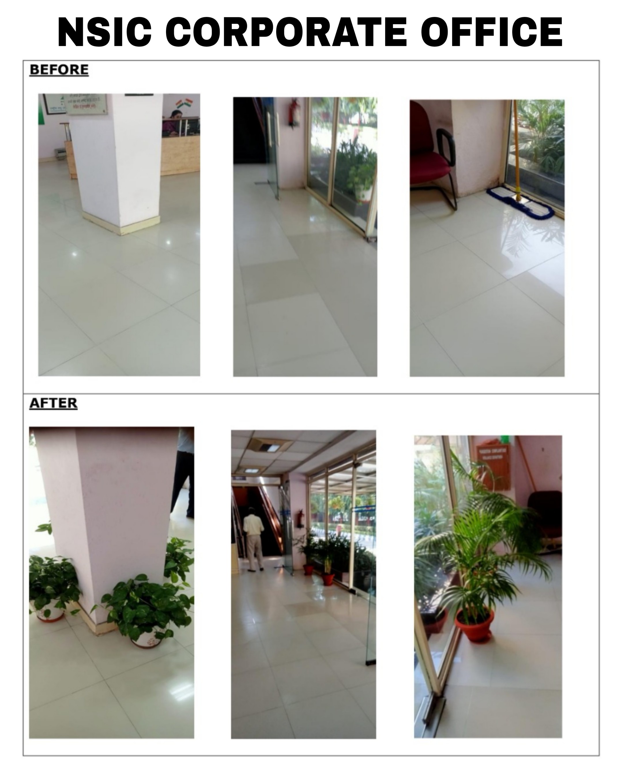 NSIC employees are enthusiastically participating in Swachhata campaign3.0 across  the Company .