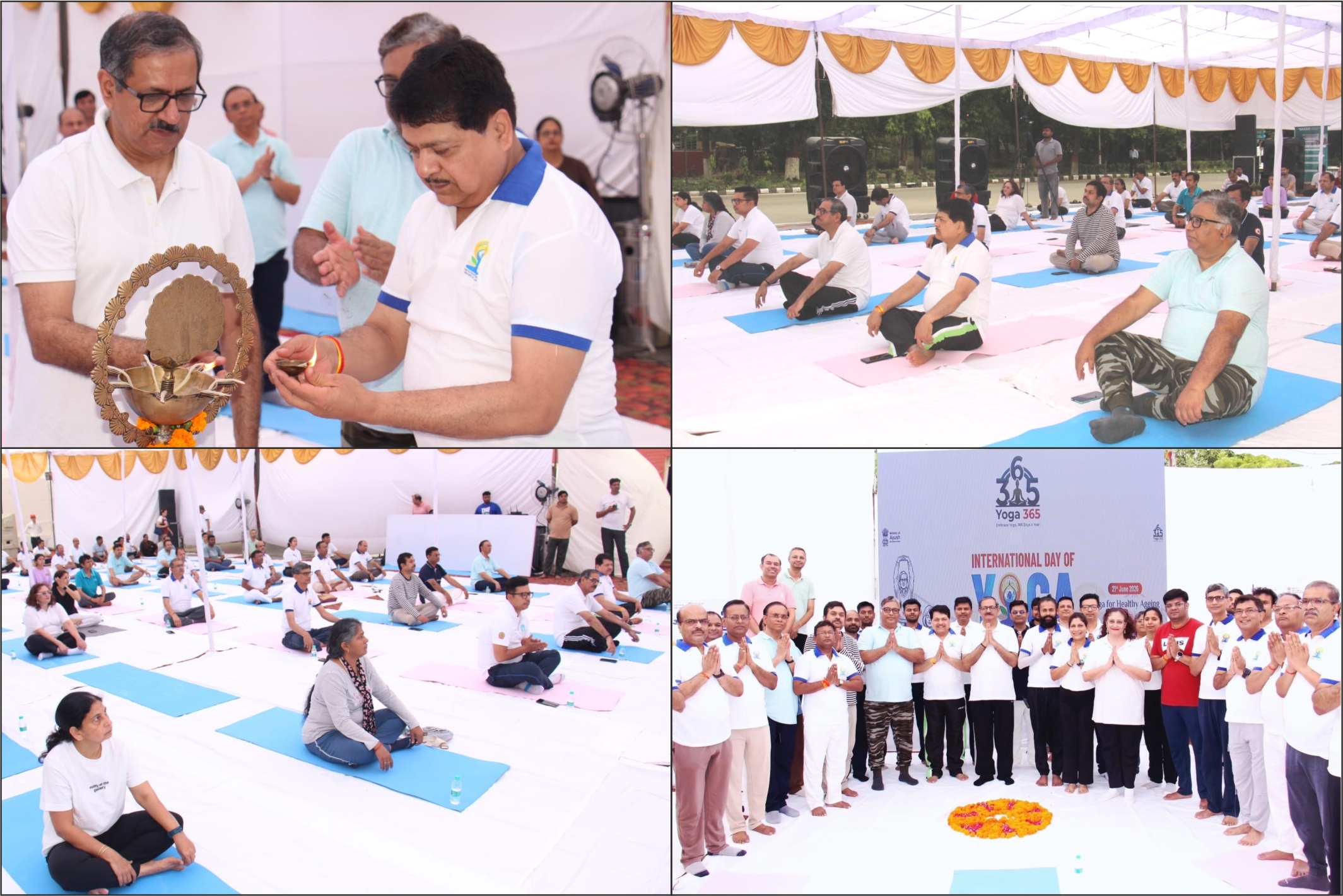 NSIC Celebrates 12th International Yoga Day on 21st June 2026