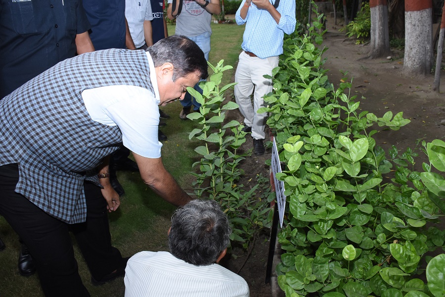 Shri Nitin Gadkari ,Hon'ble Minister,MSME  during his visit to NSIC on 9th July 2019 planted a sapling in the Corporate Office .The true meaning of life is to plant trees, under whose shade you do not expect to sit. A sapling was also planted by Dr.A.K.Panda, Secretary ,MSME in the presence of  Shri Ram Mohan Mishra ,CMD,NSIC . Also present on the occasion were   Ms.Alka Arora, Joint Secretary ,MSME,Shri.D.P.S. Negi , Economic Advisor (MSME)  ,ShriP.Udayakumar,Director(P&M),NSIC  , and senior officials of Ministry of MSME and NSIC.